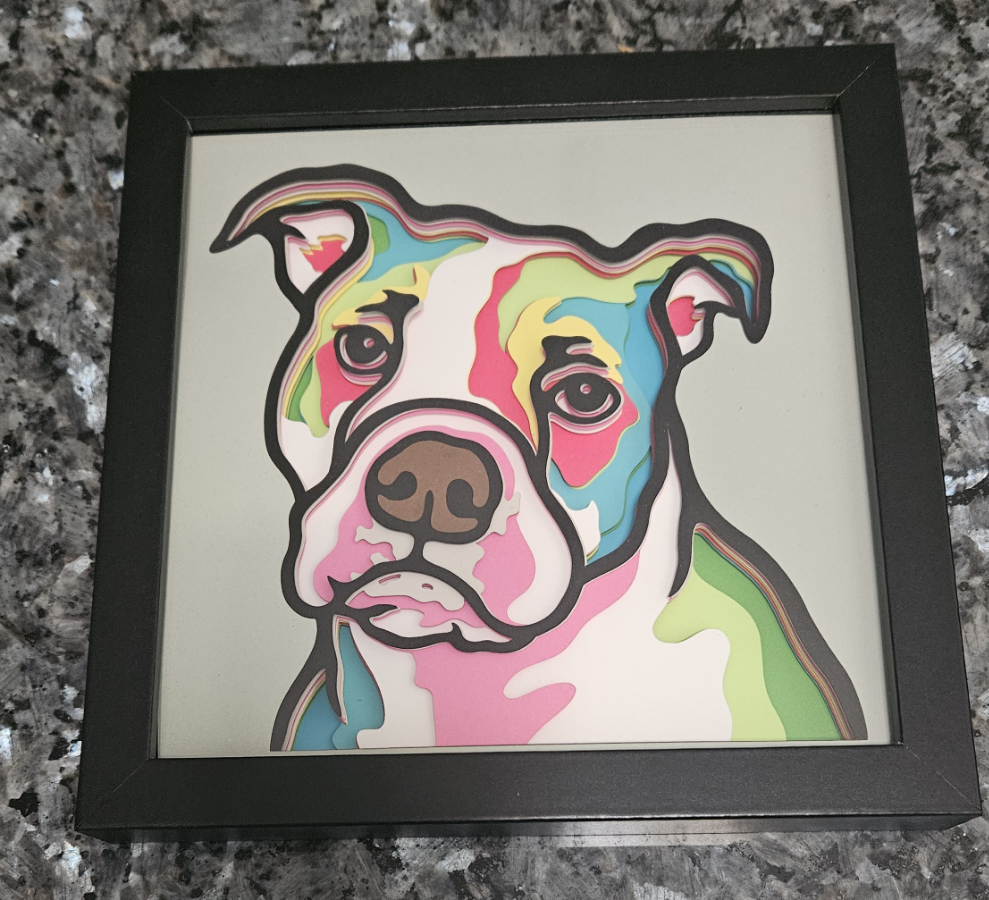 Pitbull