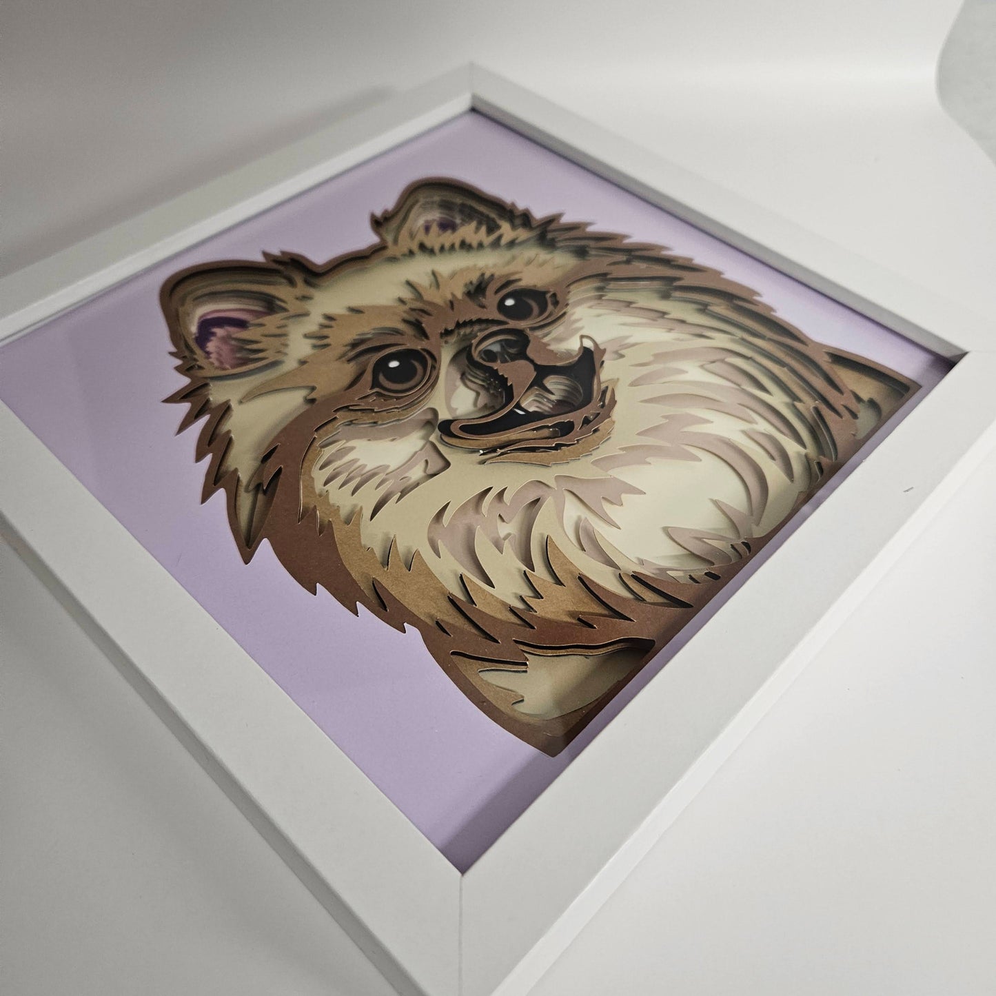 Pomeranian Shadowbox