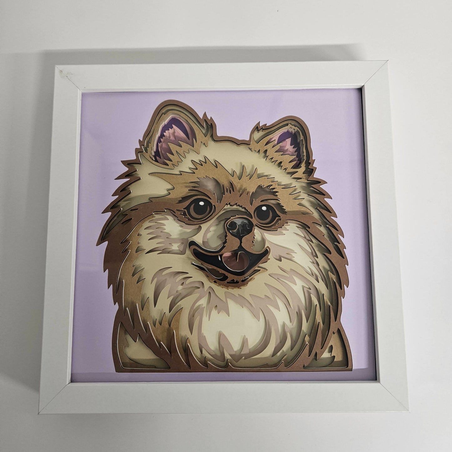 Pomeranian Shadowbox