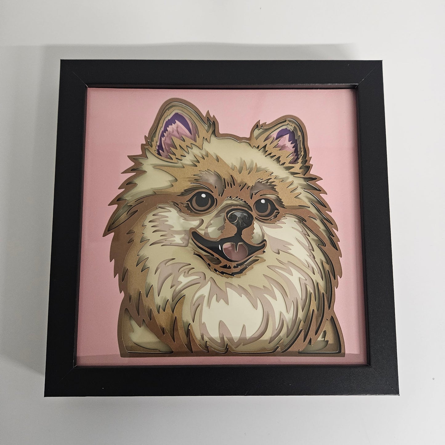 Pomeranian Shadowbox