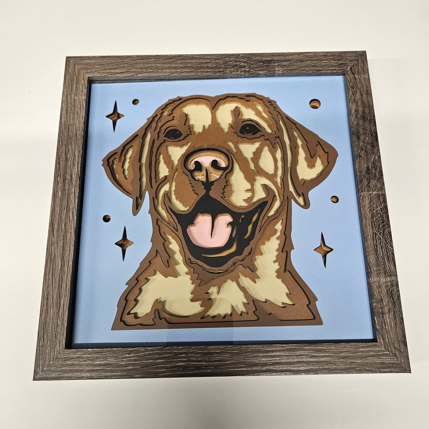 Labrador Retriever (yellow) Shadowbox