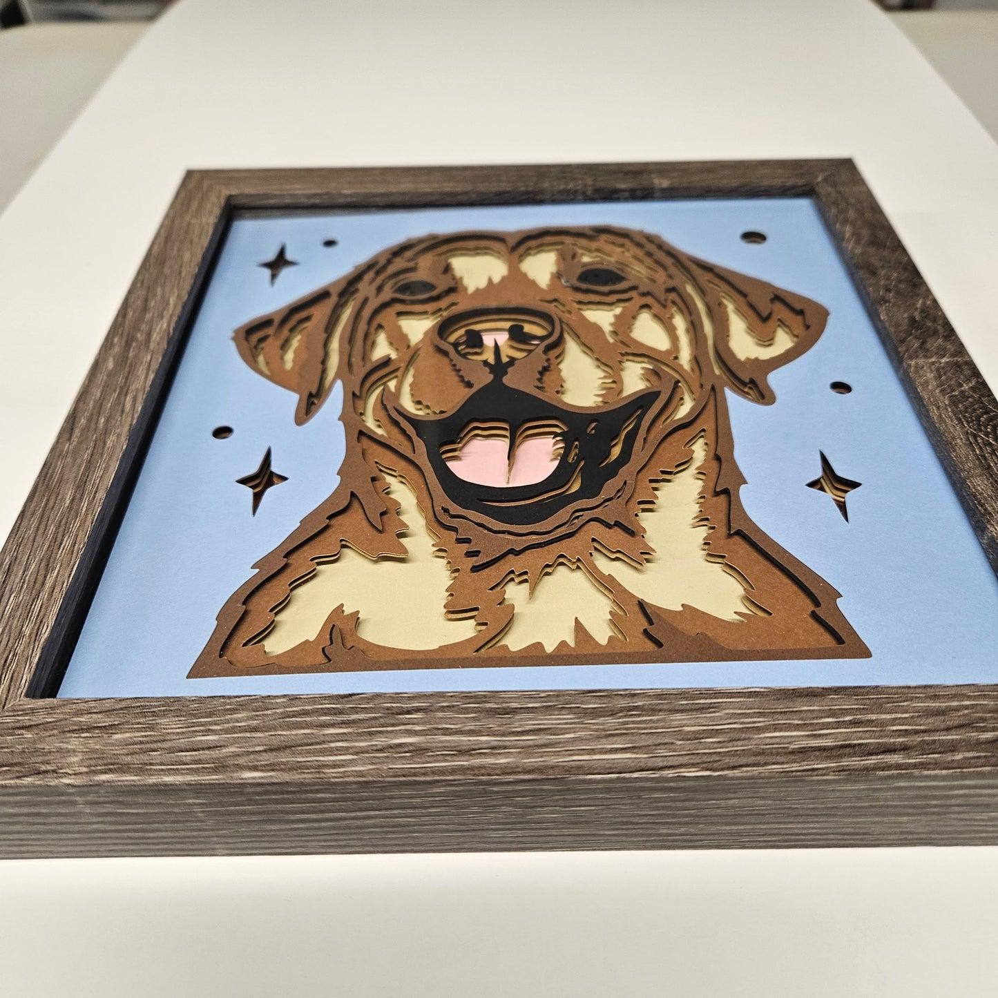 Labrador Retriever (yellow) Shadowbox