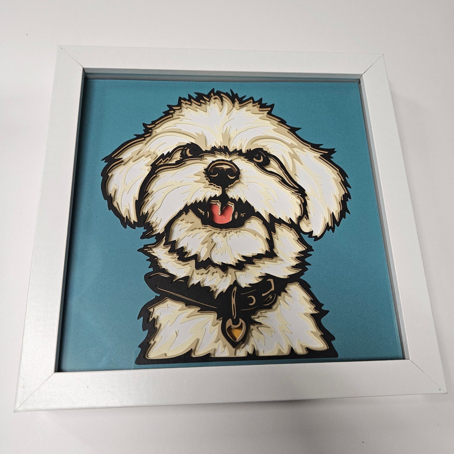Bichon Shadowbox