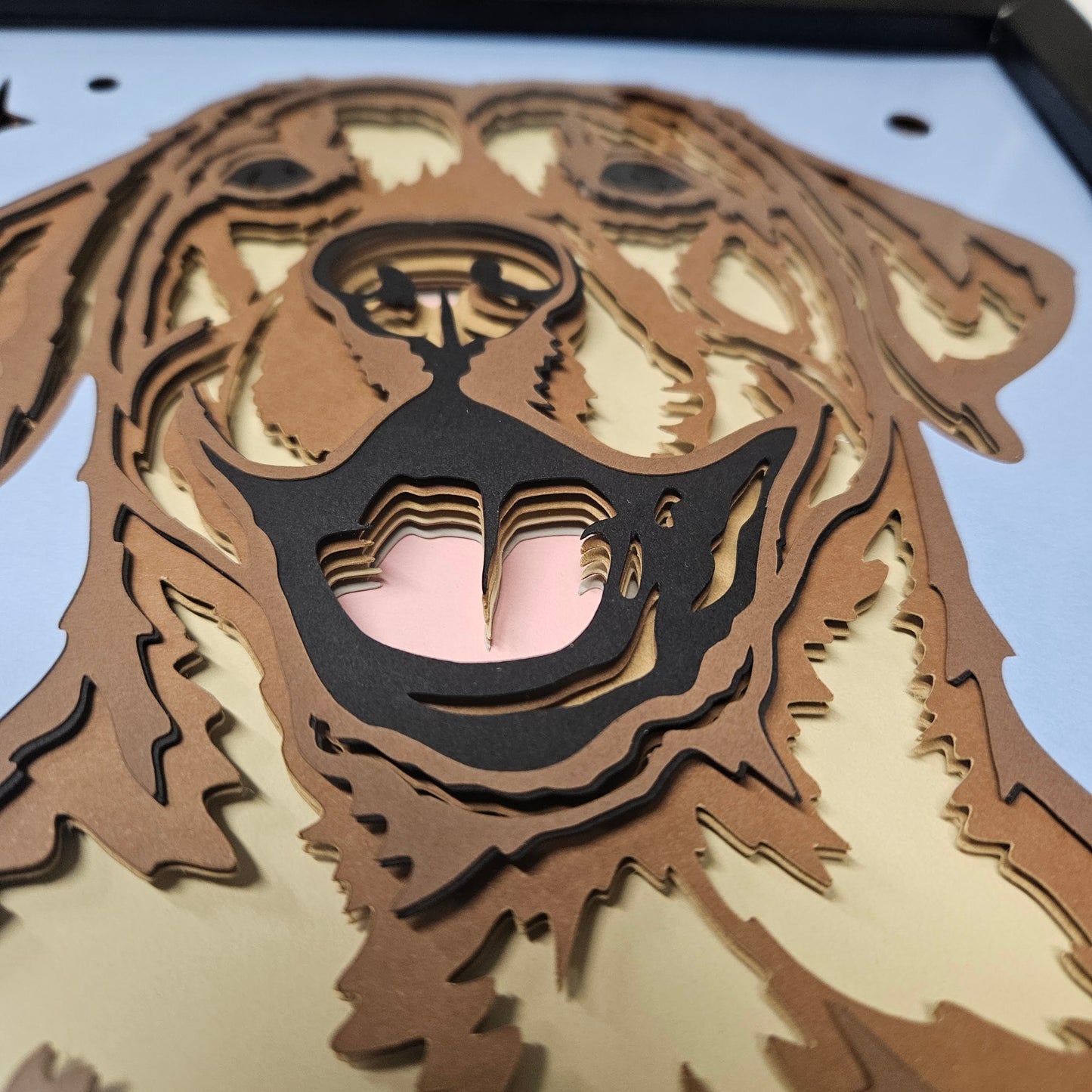 Labrador Retriever (yellow) Shadowbox