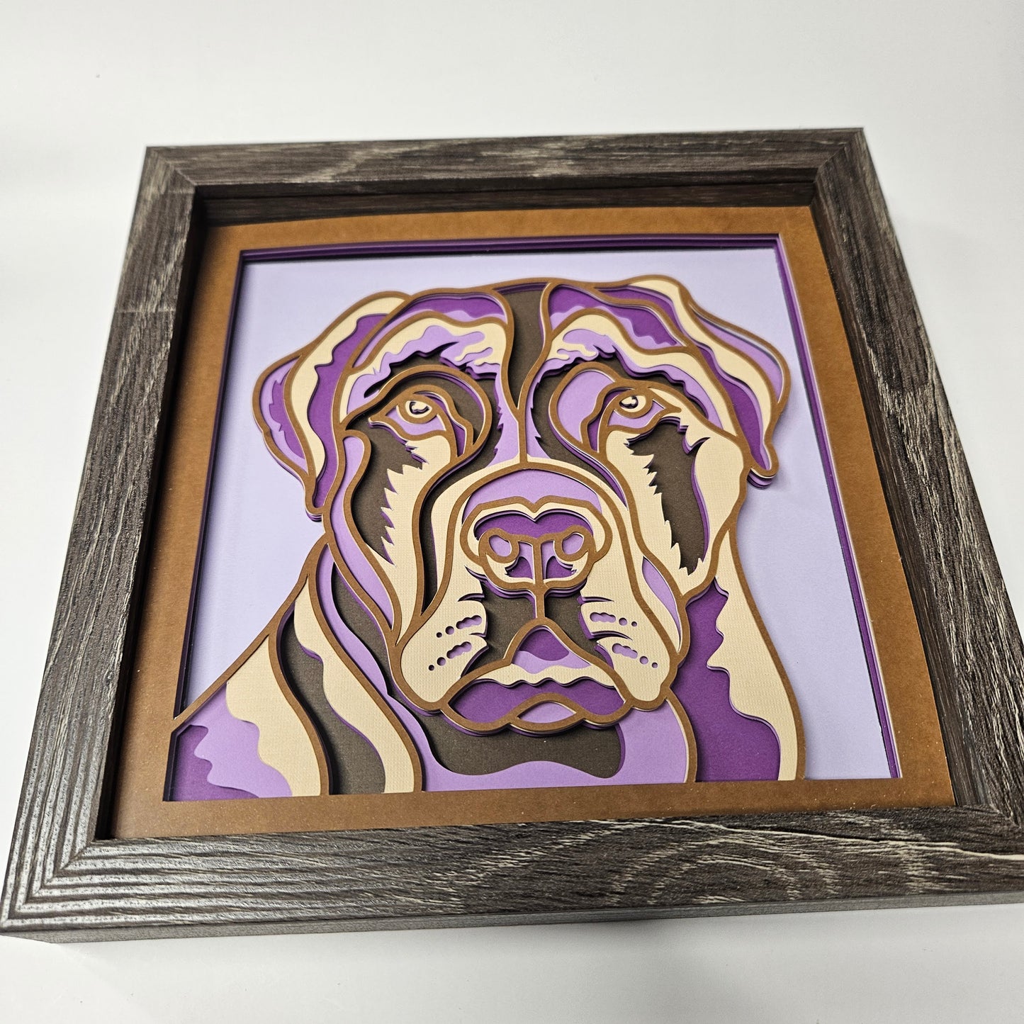 Pitbull Serious Shadowbox