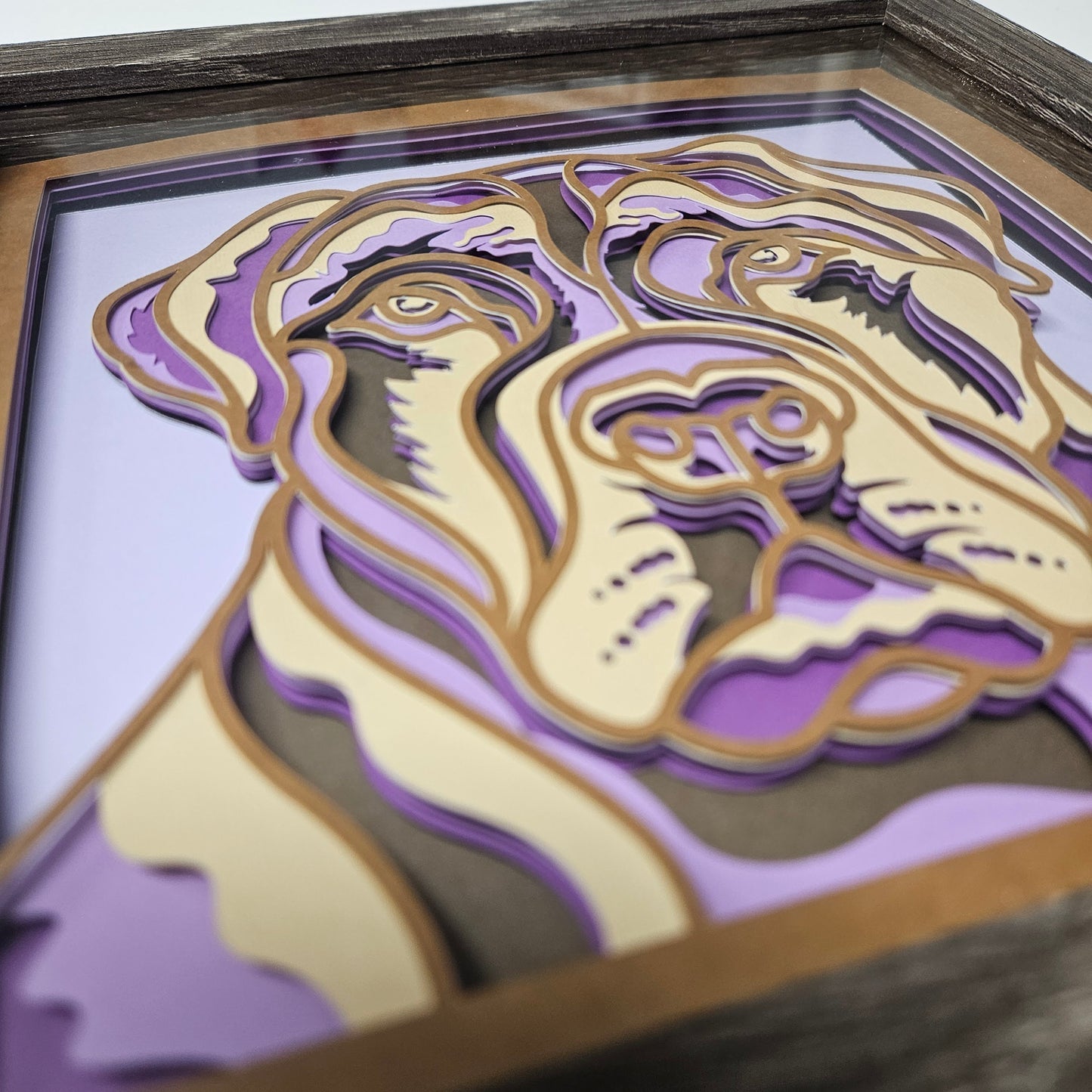 Pitbull Serious Shadowbox