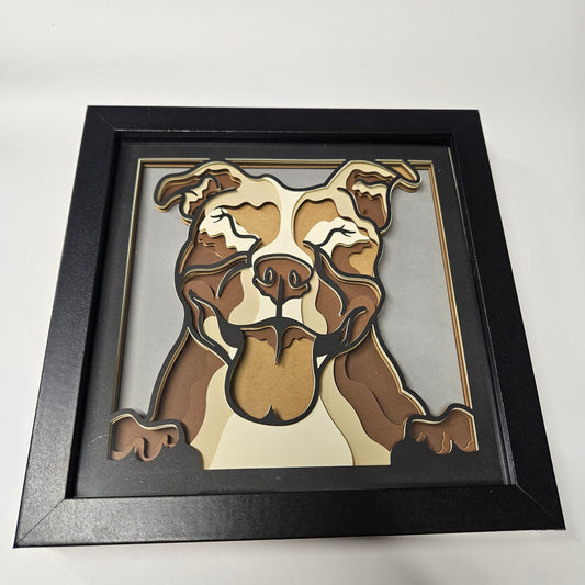 Pitbull Laughing Shadowbox