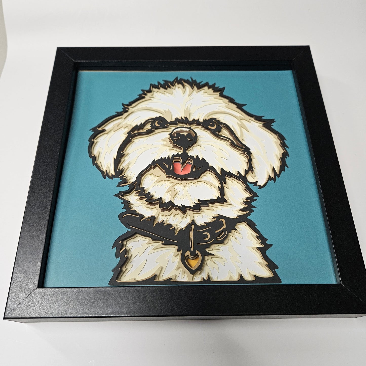 Bichon Shadowbox