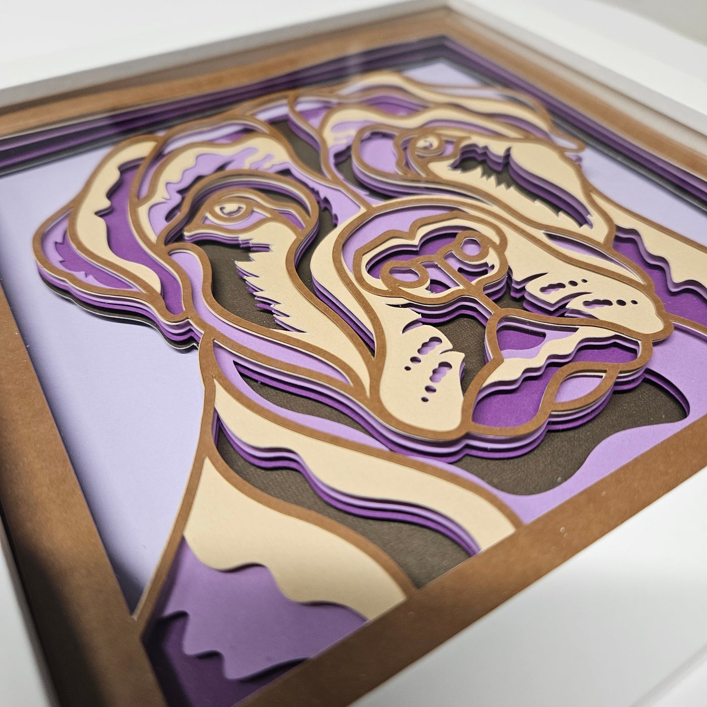 Pitbull Serious Shadowbox