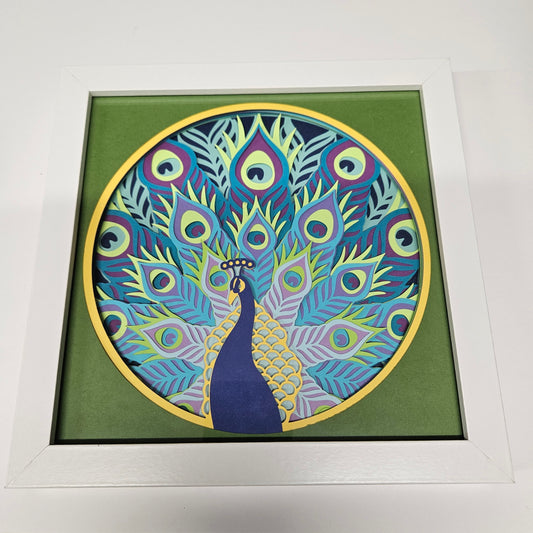 Peacock Shadowbox