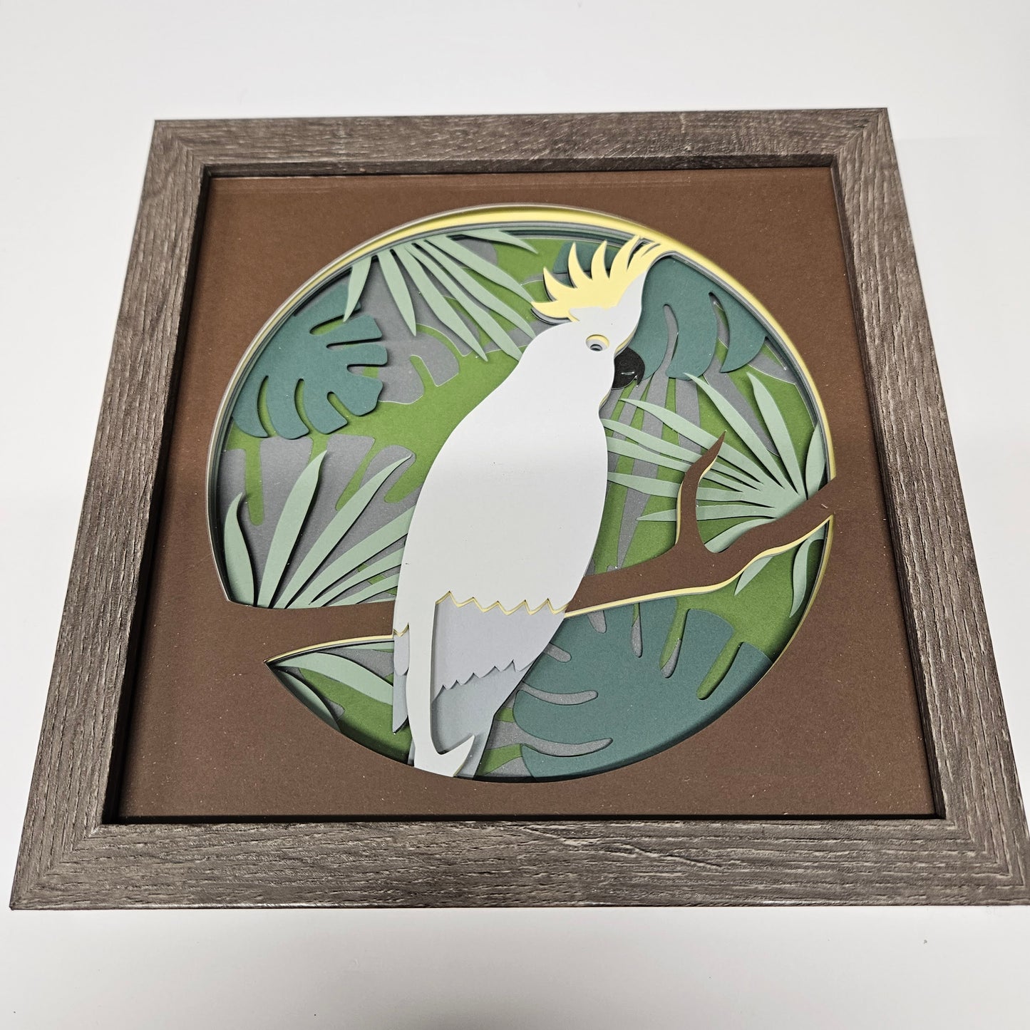 Cockatoo Shadowbox