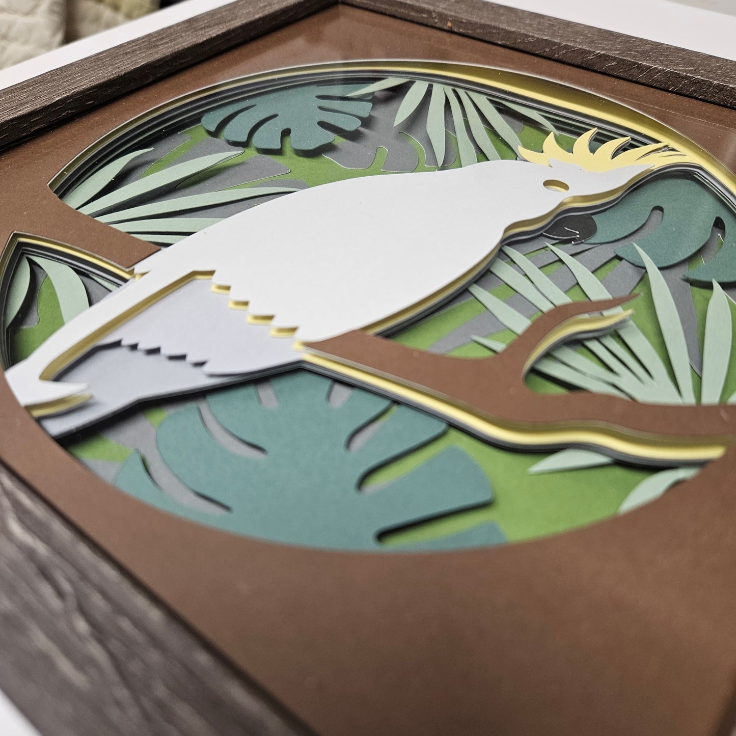 Cockatoo Shadowbox
