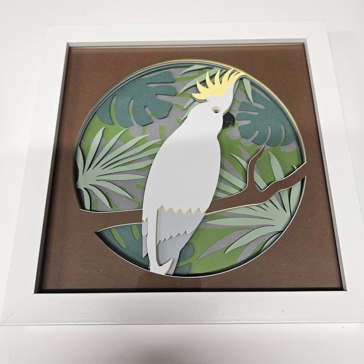 Cockatoo Shadowbox
